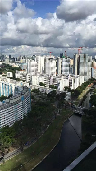 新加坡5